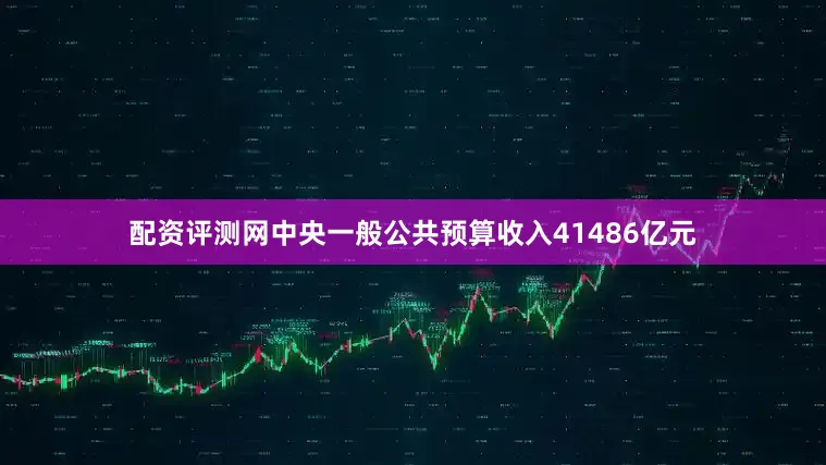配资评测网中央一般公共预算收入41486亿元
