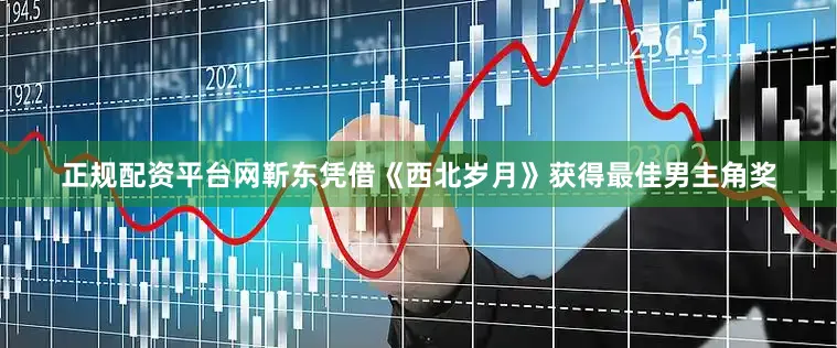 正规配资平台网靳东凭借《西北岁月》获得最佳男主角奖