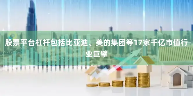 股票平台杠杆包括比亚迪、美的集团等17家千亿市值行业巨擘